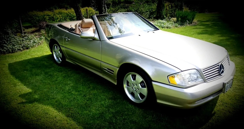 Mercedes-Benz SL cena 49900 przebieg: 286000, rok produkcji 1998 z Łęczna małe 497